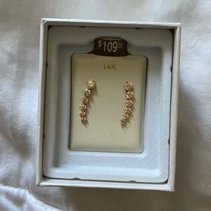 14k Rose Gold Earrings